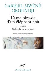 Gabriel Mwéné Okoundji